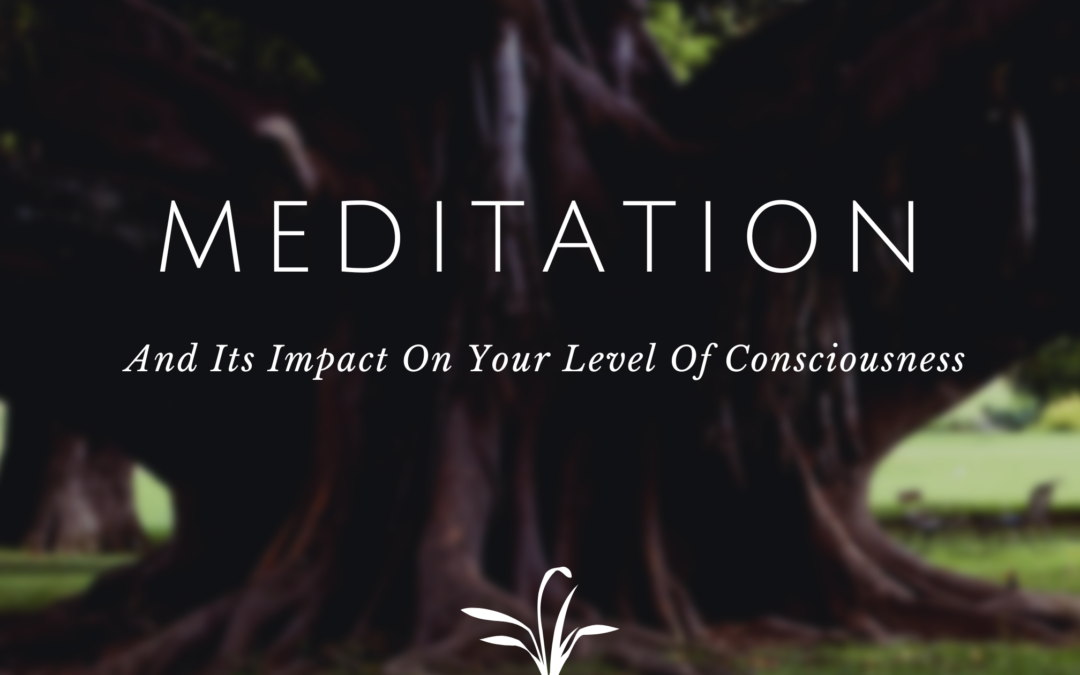 Meditation And Its Impact On Your Level Of Consciousness